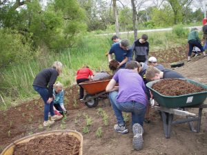 Fremont Michigan Students planting a rain garden at Fremont High School